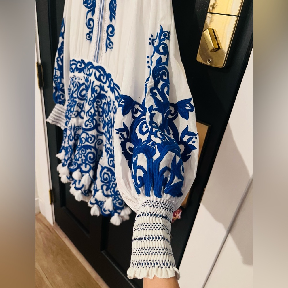 Alice+Olive Embroidered Blue and White Dress - Picture 4 of 16
